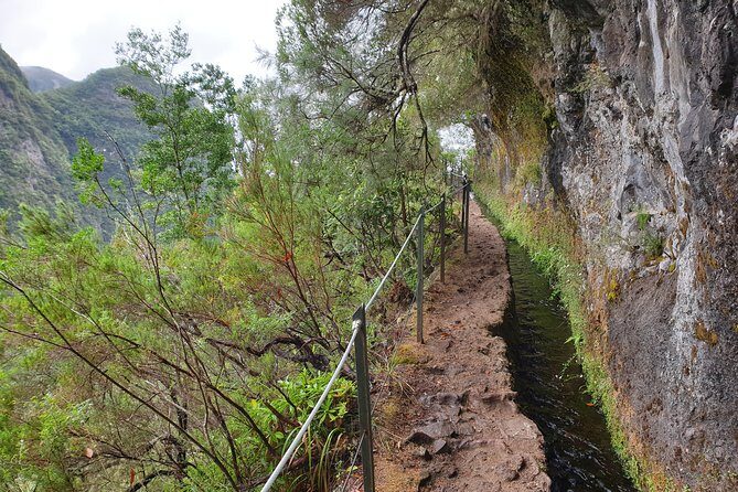 Queimadas-Caldeirão Verde - Entering the Green Cauldron: what the lagoon swim really means