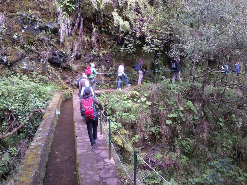 Queimadas Natural Park 5-Hour Guided Hike - Views you earn: waterfalls, craters, sea glimpses