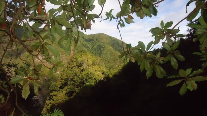 Queimadas Natural Park 5-Hour Guided Hike - Guide quality: upbeat leadership can change everything