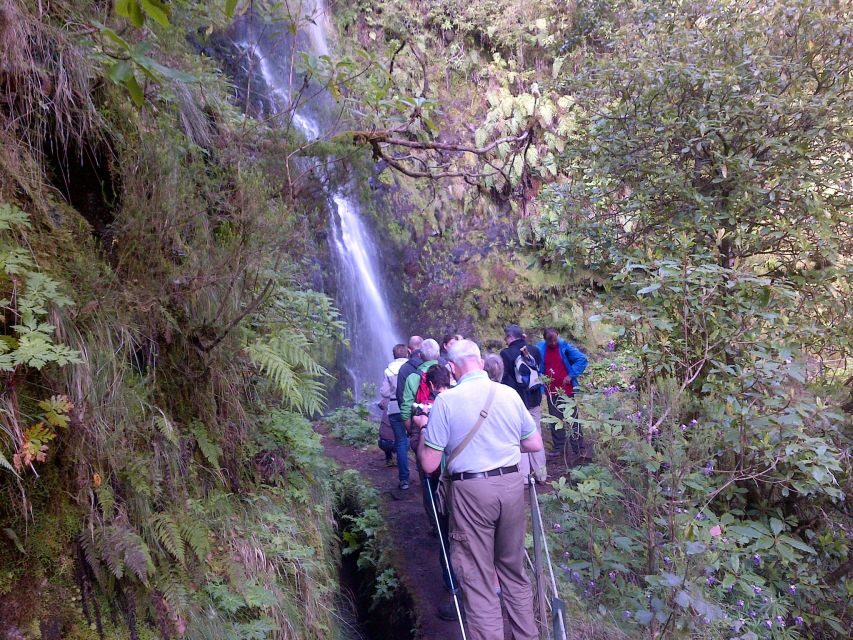 Queimadas Natural Park 5-Hour Guided Hike - Price and value: is $48 fair for this hike?