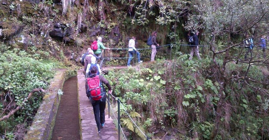 Queimadas Natural Park 5-Hour Guided Hike - From Funchal to Queimadas: pickup and the start-of-day feel