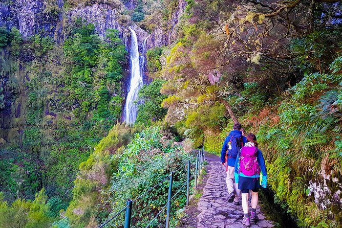 Rabaçal 25 Fontes Levada Walk in Small Groups - Getting To Rabaçal From Funchal Without Wasting Your Morning