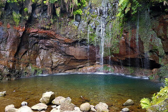 Rabaçal 25 Fontes Levada Walk in Small Groups - Pace, Steps, and Weather: The Real Rules of Madeira Levadas
