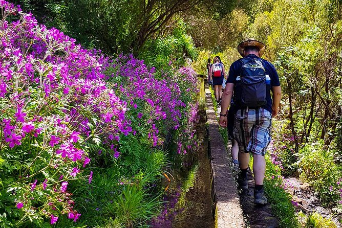 Rabaçal 25 Fontes Levada Walk in Small Groups - Who This Tour Is Best For (And Who Might Want Another Option)