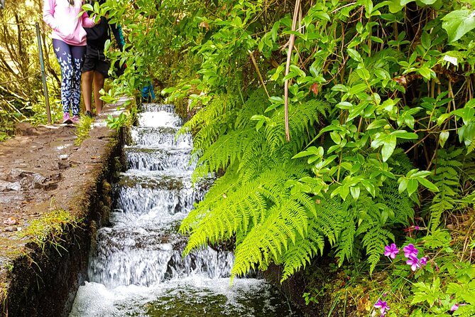 Rabaçal 25 Fontes Levada Walk in Small Groups - 25 Fontes and Cascada da Risco: The Forest Walk That Feels Like a Movie Set
