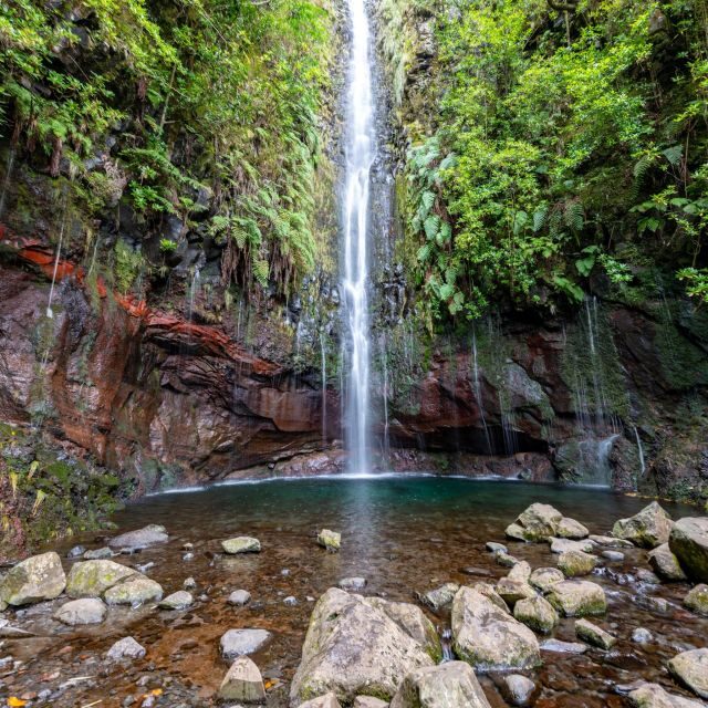 Rabaçal: 25 Fontes & Risco Levada Transfer Self-guided Hike - Rabacal Park: Where the Madeira Rainforest Feeling Starts
