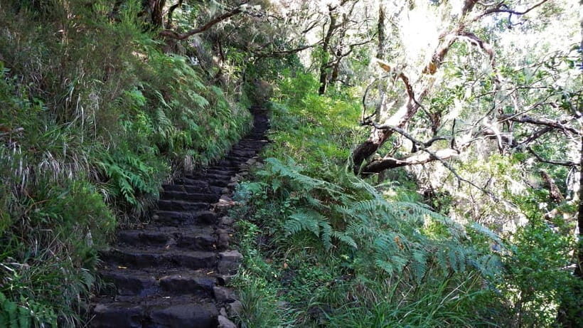 Rabaçal: 25 Fontes & Risco Levada Transfer Self-guided Hike - Timing That Matters: Be Smart About Your Slot