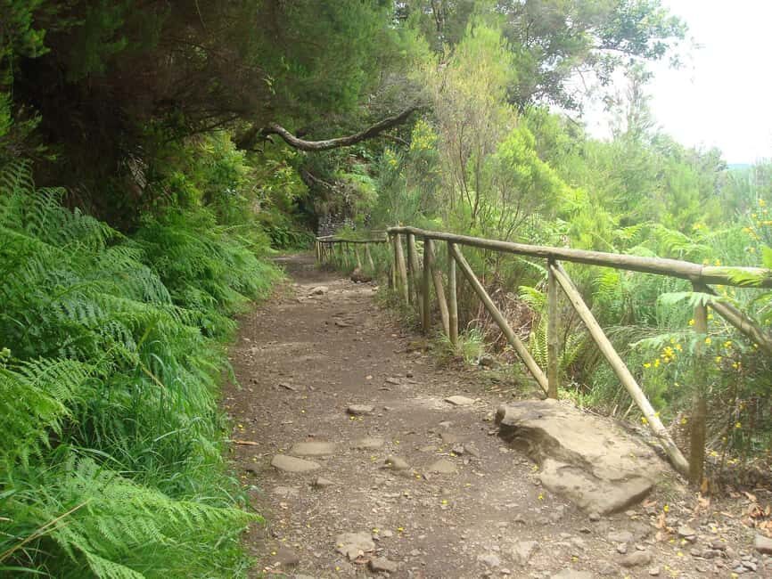 Rabaçal: 25 Fontes & Risco Levada Transfer Self-guided Hike - The Transfer Setup: Shared Van Comfort + Clear Instructions
