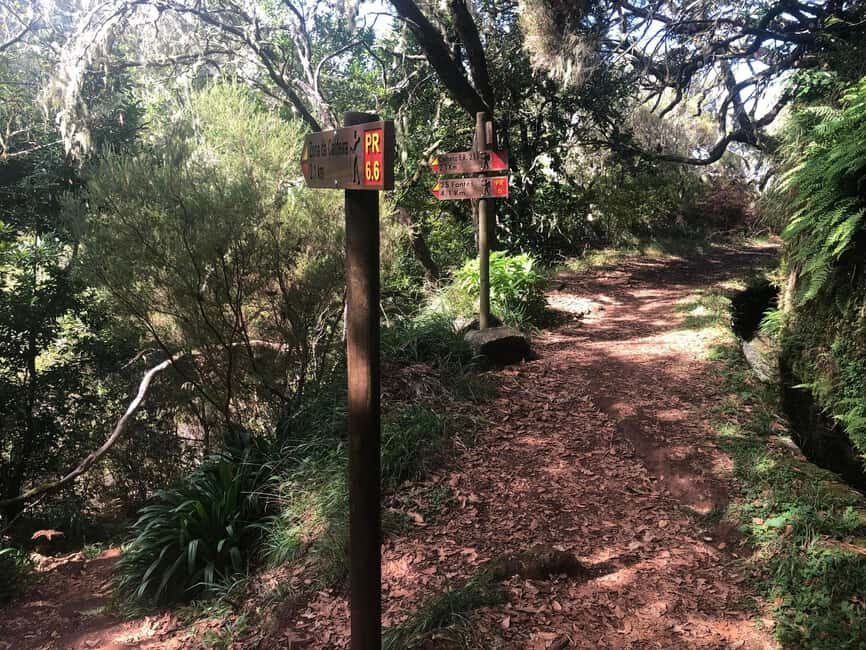 Rabaçal: 25 Fontes & Risco Levada Transfer Self-guided Hike - A 5-Hour Hiking Window: How to Spend It Without Rushing