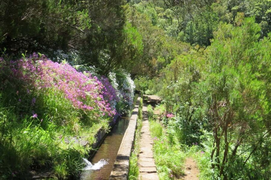 Rabaçal: 25 Fontes & Risco Levada Transfer Self-guided Hike - Price and Value: Is $38 a Smart Deal or a Convenience Trap?