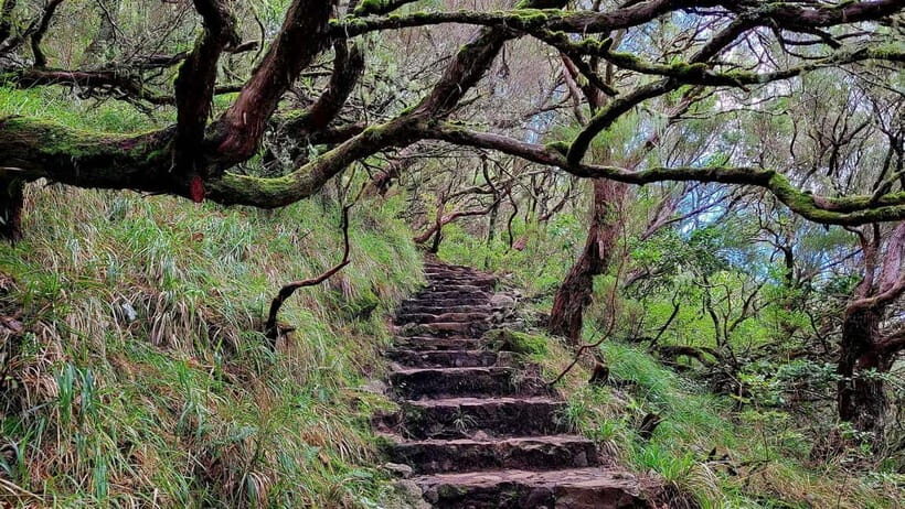 Rabaçal: 25 Fontes & Risco Levada Transfer Self-guided Hike - Who This Hike Fits Best (and Who Should Skip It)