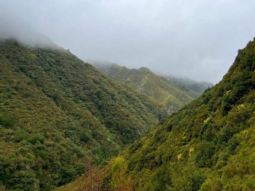 Rabaçal: 25 Fontes & Risco Levada Transfer Self-guided Hike - 25 Fontes and Risco Levada: What You’re Really Signing Up For