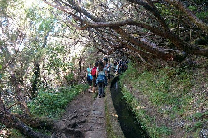 Rabaçal - 25 Fonts - Rain, Steps, and Safety: What to Expect on the Levada