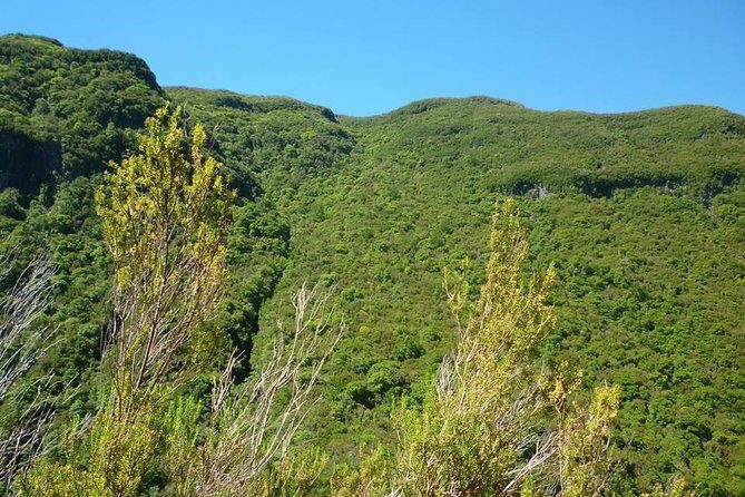 Rabaçal - 25 Fonts - Price and Value for 4 Hours of Nature Time
