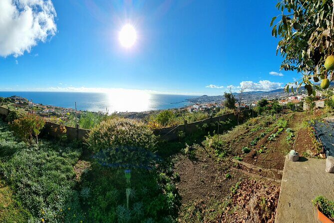 "Re-Canto" Farm-to-Table with Stunning Views at Madeira - The menu: four courses with Espetada as the star