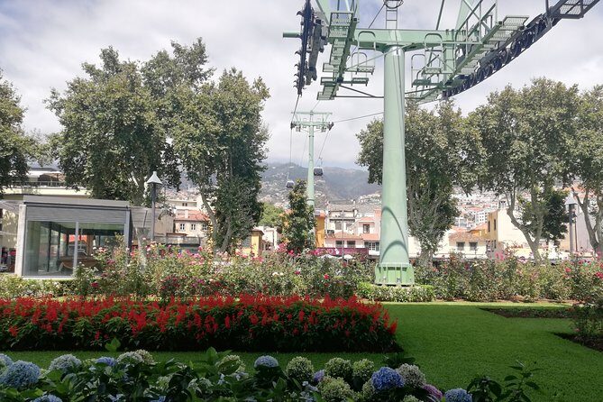 Real Life, Mountains & Sea Cliffs + Lunch + Levada walk - 6 hours - Price and Value: What $391.81 Really Buys