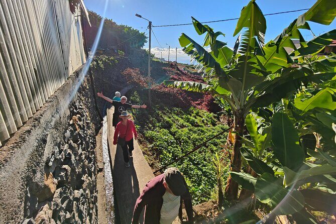 Real Life, Mountains & Sea Cliffs + Lunch + Levada walk - 6 hours - Jardim da Serra: Cherries, Chestnuts, and Poncha (Optional)