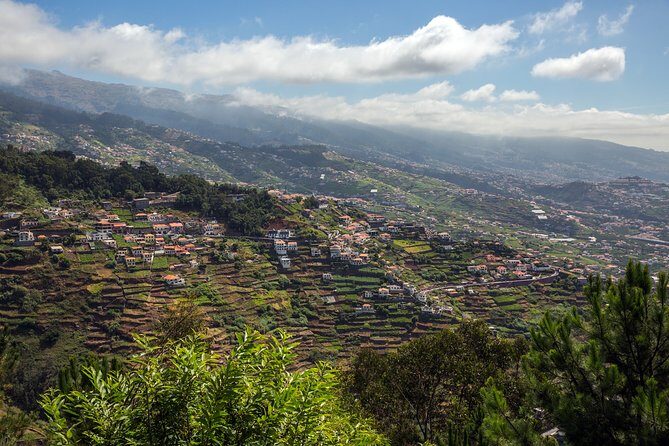 Real Life, Mountains & Sea Cliffs (Nun´s Valley View) - Half Day 4x4 Tour - From Funchal to Câmara de Lobos: the coast-to-hills start