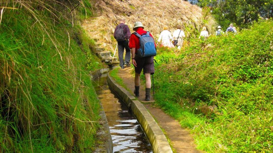 Referta / Castelejo - Levada Walk - Key things to know before you go
