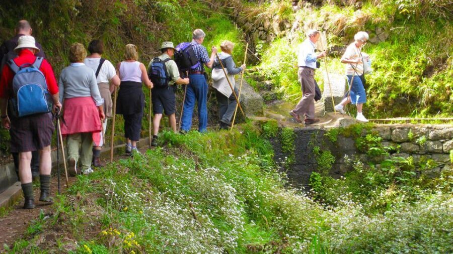 Referta / Castelejo - Levada Walk - Referta to Castelejo: Why This Easy Levada Walk Works