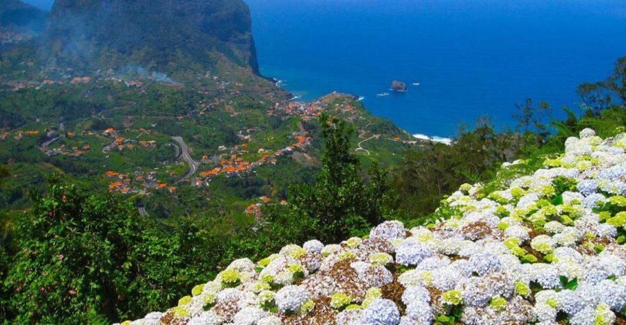 Referta / Castelejo - Levada Walk - Guides Like Ferra, Sarah, and Sergio: Facts Without the Lecturing