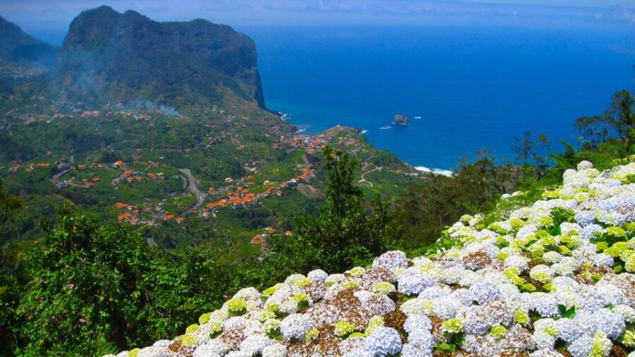 Referta / Castelejo - Levada Walk - End-of-Walk Treats: Poncha, Cake, Fruit Stalls, and One Cash-Only Catch