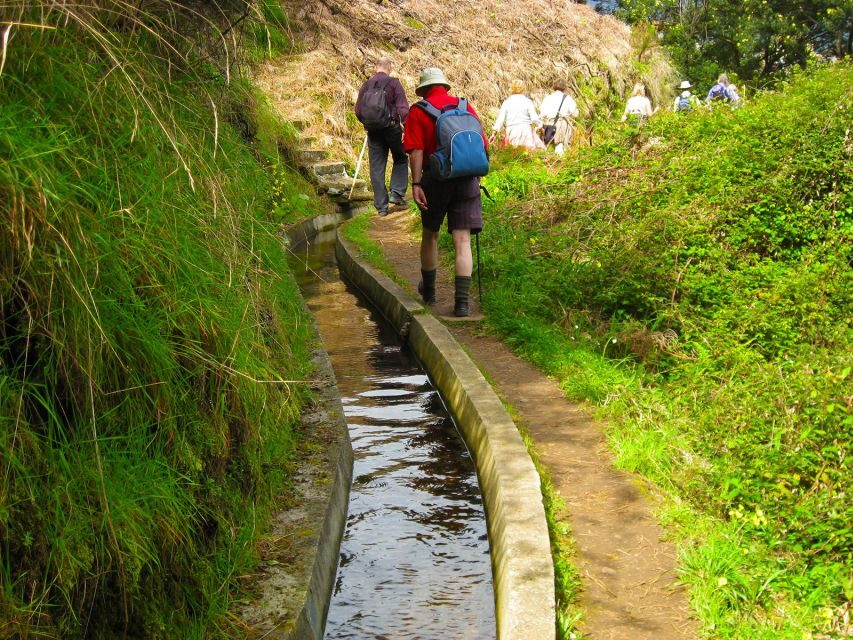 Referta / Castelejo - Levada Walk - Price and Value: What $38 Includes (and What You’ll Pay Separately)