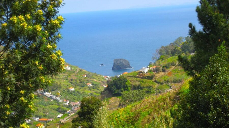 Referta / Castelejo - Levada Walk - Practical Tips That Actually Help on This Levada
