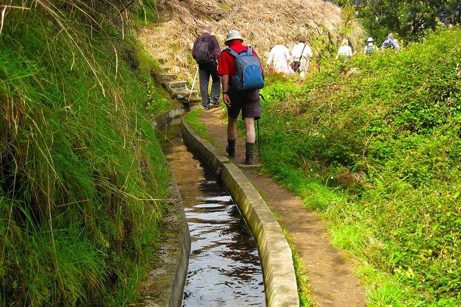 Referta Castelejo Levada Walk from Funchal - Who this levada walk is best for