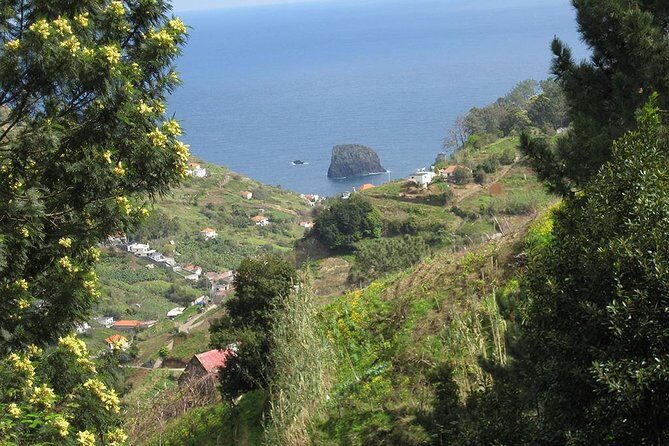 Referta Castelejo Levada Walk from Funchal - Before you book: my quick decision checklist