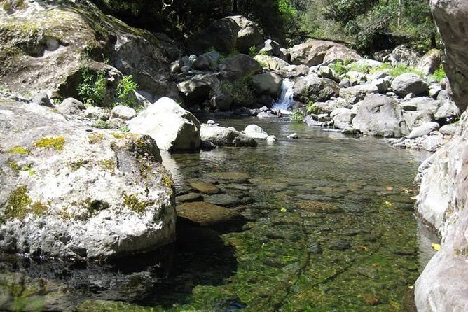 Referta Castelejo Levada Walk from Funchal - How the guide turns scenery into understanding
