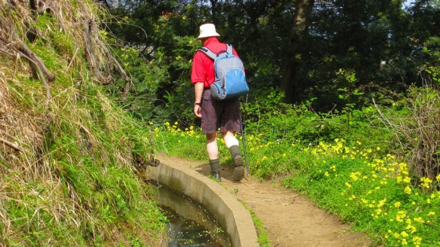 Referta / Castelejo - Levada Walk - The 4-Hour Route: From Old Levada Paths to Northern-Coast Views