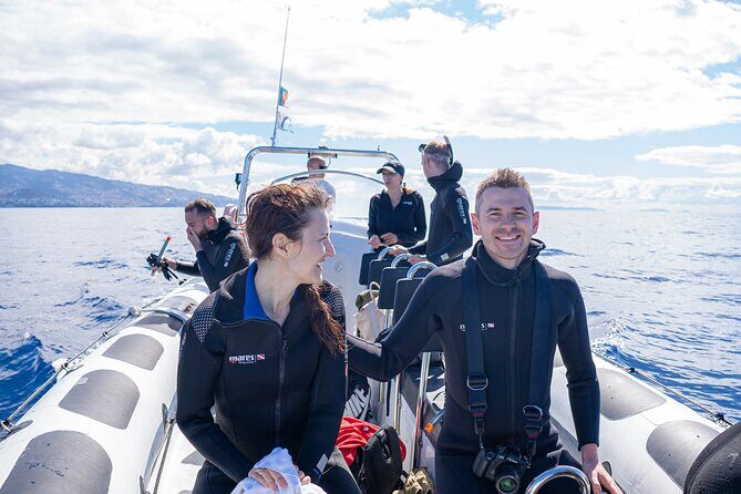 Responsible Whales and/or Dolphins Watching Tour - Price and value: is $59.28 a good deal?