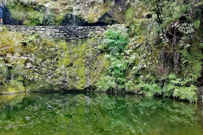 Ribeiro Frio - Portela - Price and value: what $54.01 buys you in Madeira