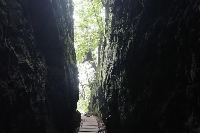 Ribeiro Frio - Portela - The 11 km, 4-hour plan: pacing for a relaxed half-day