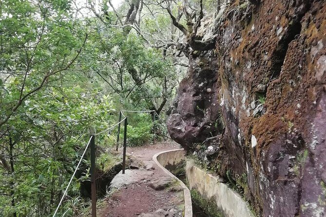 Ribeiro Frio - Portela - Weather changes: how guides protect your hike (and your time)