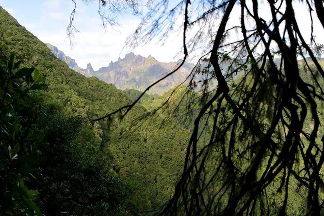 Ribeiro Frio - Portela - The role of your guide: why you’ll remember more than the trail
