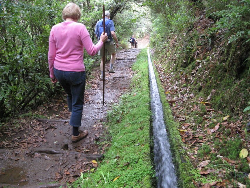 Ribeiro Frio / Portela - Levada Walk - Lamaceiros payoff: Porto da Cruz and Eagle Rock views