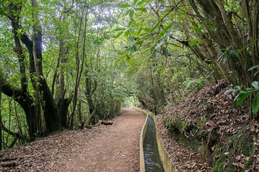Ribeiro Frio / Portela - Levada Walk - Price and value: $50 for a classic Madeira route
