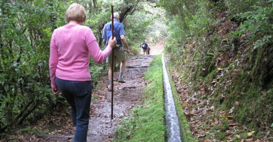Ribeiro Frio / Portela - Levada Walk - What to bring (and what to skip) for a smoother walk
