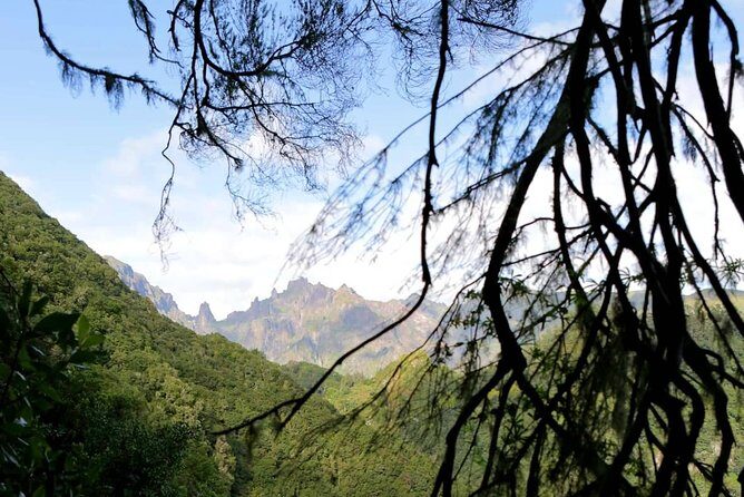 Ribeiro Frio - Portela - Getting to Ribeiro Frio from Funchal (and why pickup matters)