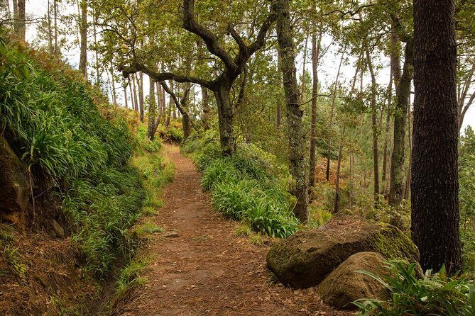 SANTANA Combo Expedition (Jeep & Levada Walk) - Shared Tour - Pickup Timing in Funchal: What Your 9:00 Start Really Means