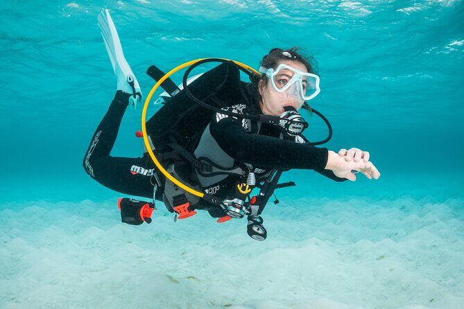 Scuba Diving Experience in Madeira - Price and what you’re really paying for in Funchal
