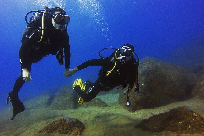 Scuba Diving Experience in Madeira - What you might see underwater around Madeira