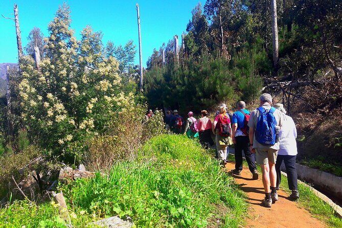 Serra D'Água Valley - Levada Walk - Serra de Água: your easy 5 km walk with views that travel
