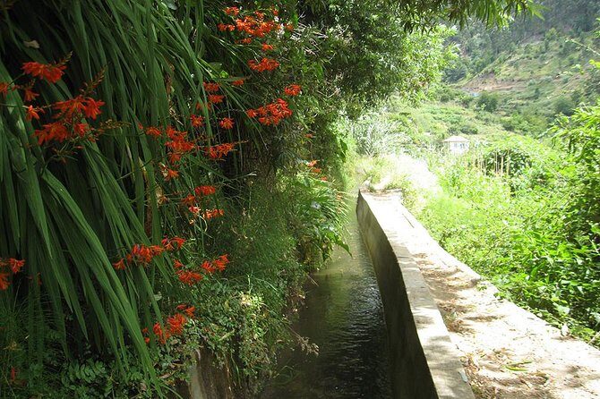 Serra D'Água Valley - Levada Walk - Levada walking in the real world: pace, weather, and possible detours