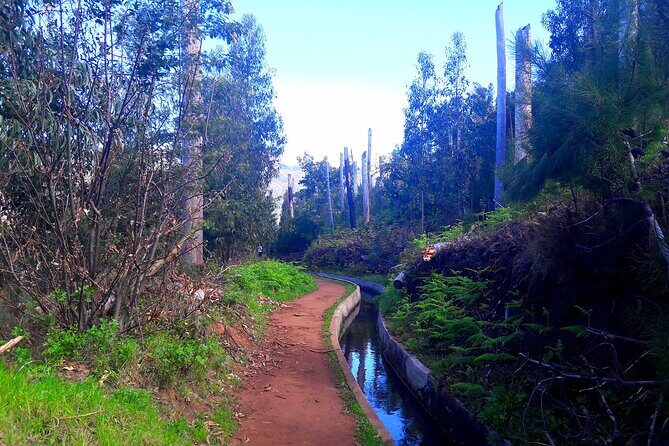 Serra D'Água Valley - Levada Walk - The guide makes it: how Louisa and Miguel set expectations