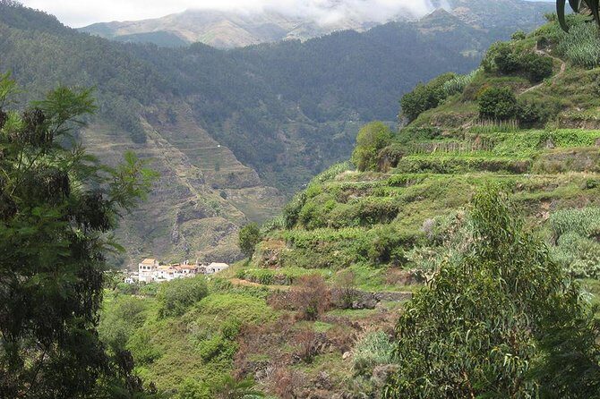 Serra D'Água Valley - Levada Walk - Duration and timing: how a 4-hour format fits your Madeira day