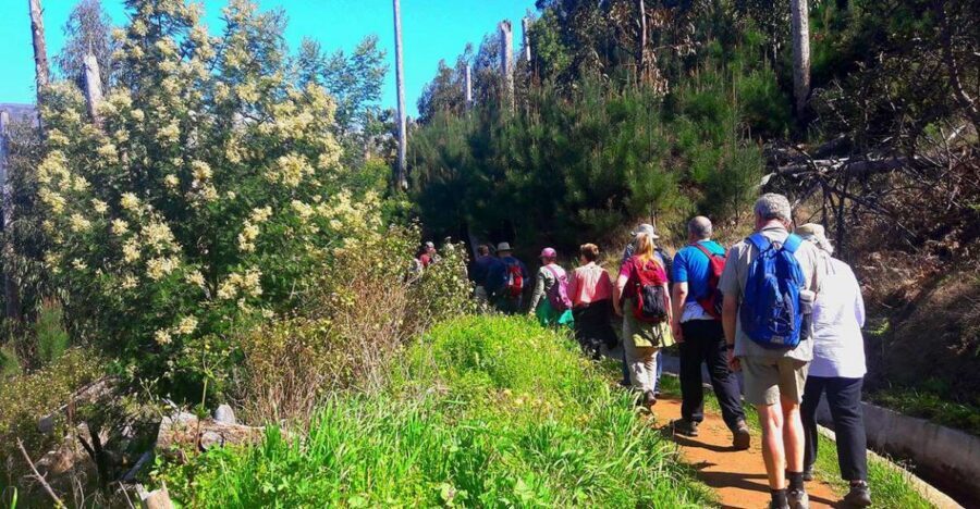 Serra de Água Valley Levada Walk - Serra de Água Valley: why this levada walk works in real life