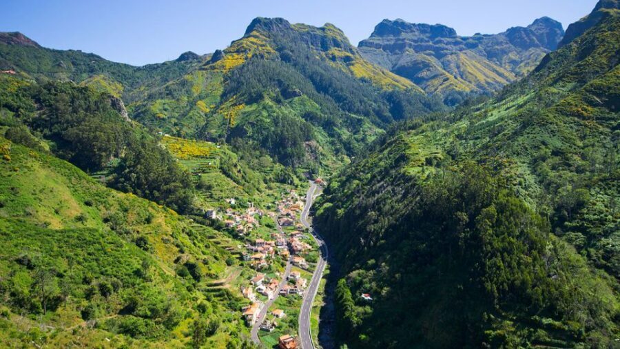 Serra de Água Valley Levada Walk - Native flora and fauna: why the guide’s stops matter